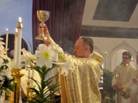 A 25th Anniversary Celebration